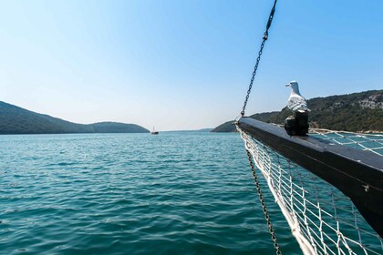 Fra Poreč: Dagsutflukt med båt til Rovinj med fiskelunsj