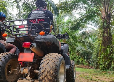 Khao Lak: Geführte ATV-Tour mit Schwimmen am Lampi-Wasserfall