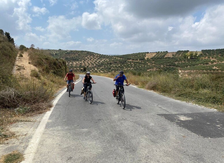 Picture 4 for Activity Discovering the Unknown Side of Crete by E-Bike