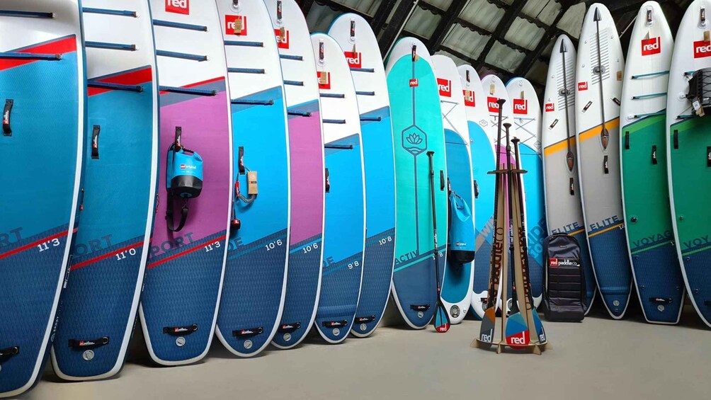 Picture 6 for Activity Tihany: Stand Up Paddleboarding Course at Lake Balaton
