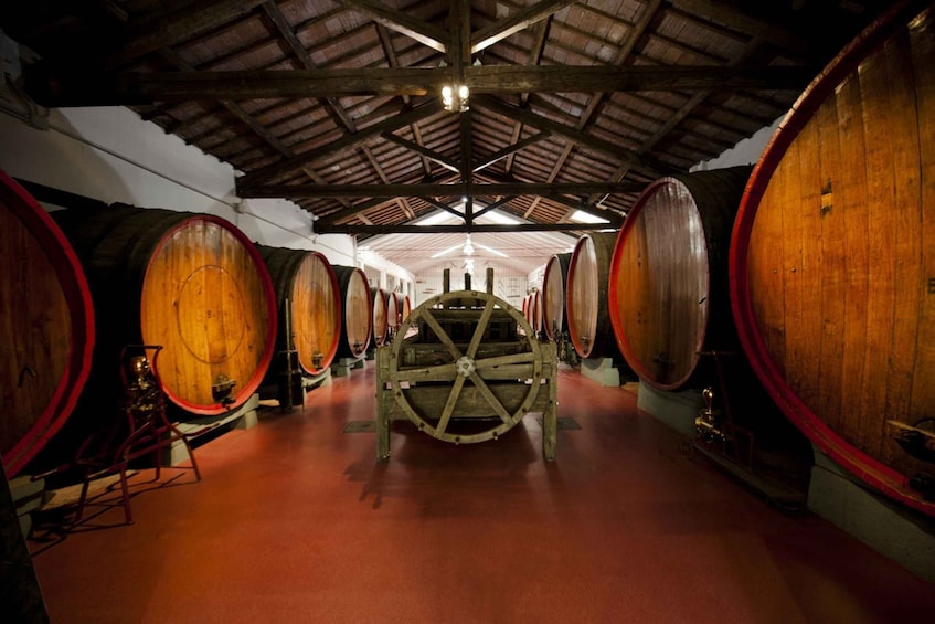 Picture 1 for Activity Modena: Wine Tasting and Cellar Tour With A Sommelier