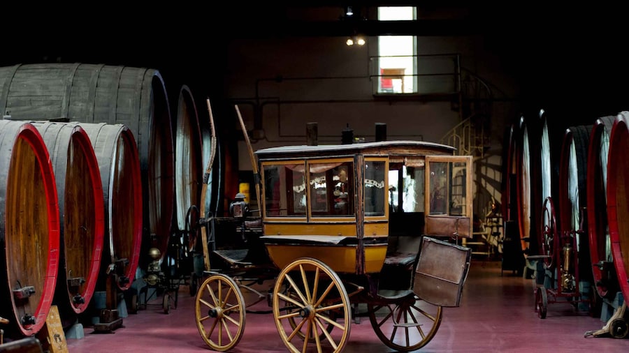 Modena: Lambrusco Wine Tasting and Cellar Tour