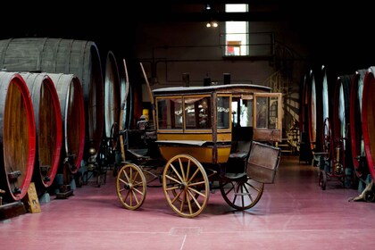 Módena: degustación de vinos Lambrusco y visita a la bodega