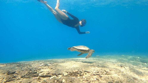 Puerto Rico: Snorkeling with Turtles Adventure