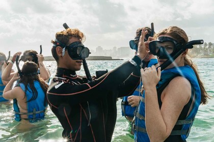 San Juan: Snorkling för nybörjare med sköldpaddor och videor