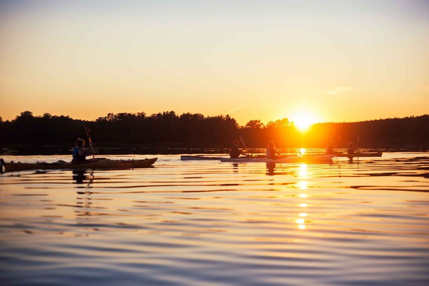 Picture 1 for Activity Vaxholm: Stockholm Archipelago Sunset Kayaking Tour and Fika