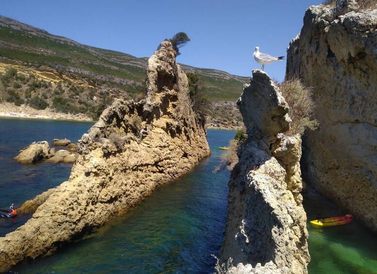 Picture 4 for Activity Lisbon: Arrábida All-Inclusive Kayak Adventure Tour