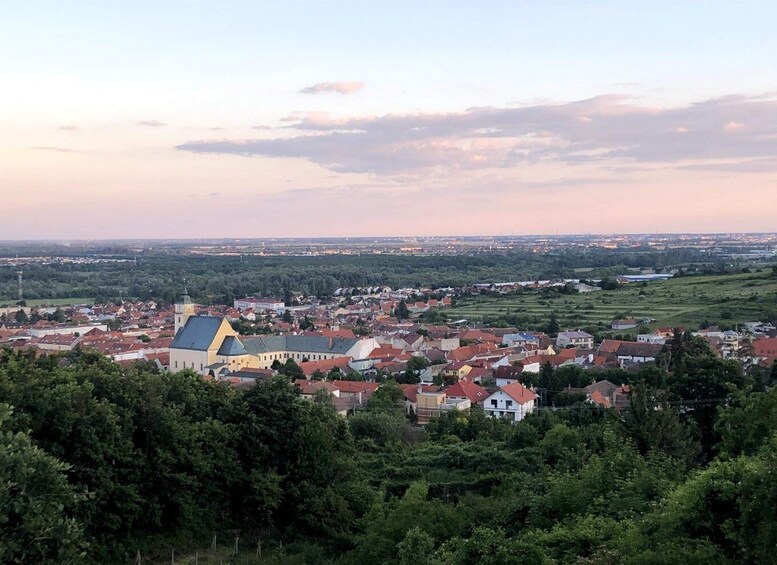 Picture 1 for Activity From Bratislava: Organic Wine Tasting in Svaty Jur