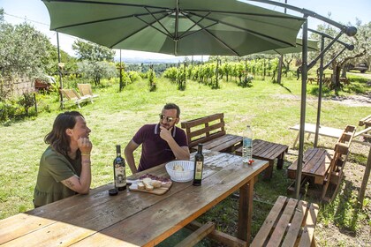 Montepulciano: Tour Cinta Senese Con Degustación De Comida