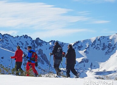 La Raya: Fuentes de Invierno Snowshoe Walk