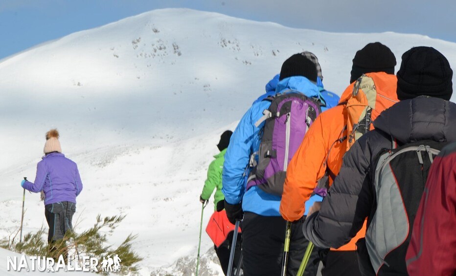 Picture 2 for Activity La Raya: Fuentes de Invierno Snowshoe Walk