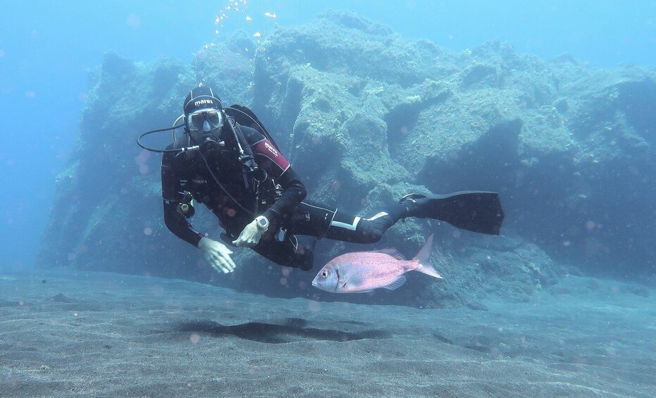 Picture 1 for Activity La Palma: Basic Diver Certification with 2 Atlantic Dives