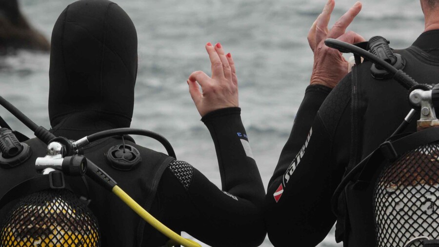 La Palma: Basic Diver Certification with 2 Atlantic Dives