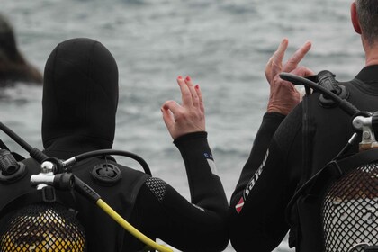 La Palma: Certificación básica de buceo con 2 inmersiones en el Atlántico