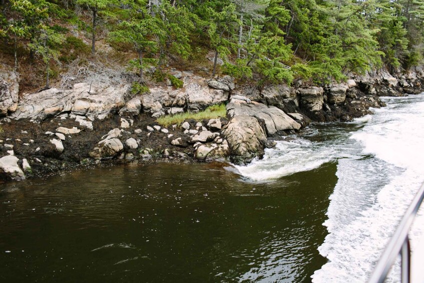 Picture 12 for Activity Boothbay Harbor: Spectacular Kennebec River Cruise