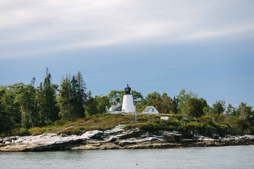 Picture 8 for Activity Boothbay Harbor: Spectacular Kennebec River Cruise