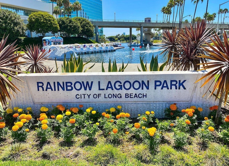 Picture 3 for Activity Long Beach: Swan Boat Rental at Rainbow Lagoon