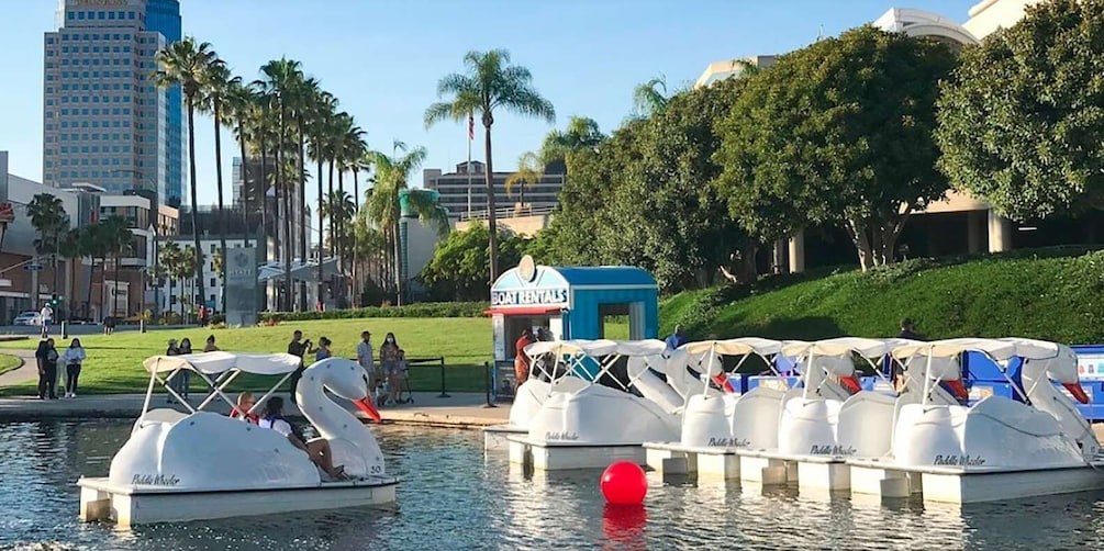 Long Beach: Swan Boat Rental at Rainbow Lagoon