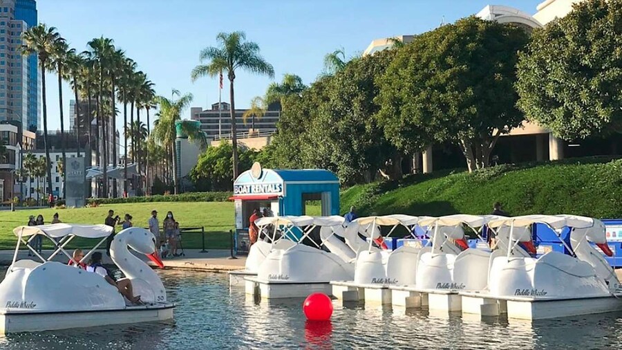 Long Beach: Swan Boat Rental at Rainbow Lagoon