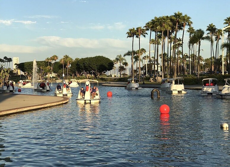 Picture 5 for Activity Long Beach: Swan Boat Rental at Rainbow Lagoon