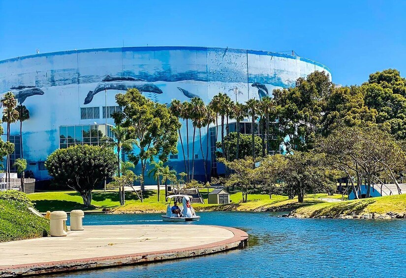 Picture 4 for Activity Long Beach: Swan Boat Rental at Rainbow Lagoon