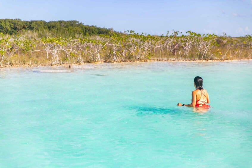 Picture 8 for Activity Bacalar: Private Sailboat Tour with Lagoon Swimming