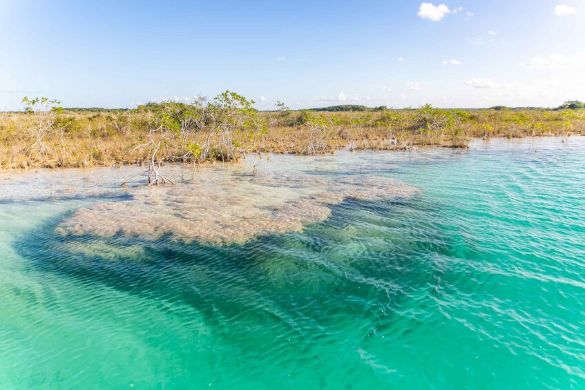 Picture 7 for Activity Bacalar: Private Sailboat Tour with Lagoon Swimming