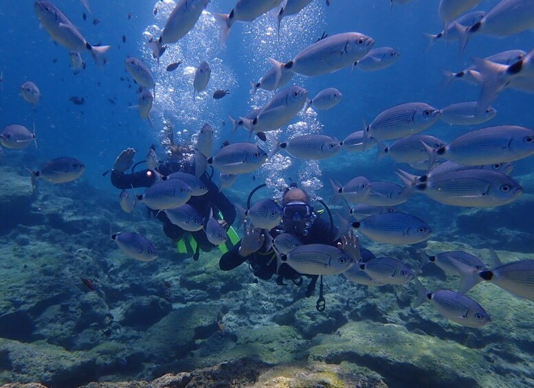 Picture 3 for Activity Protaras: 3-4 Day PADI Open Water Diver in Protaras