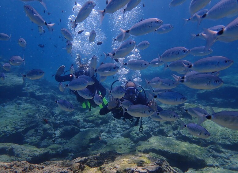 Picture 3 for Activity Protaras: 3-4 Day PADI Open Water Diver in Protaras