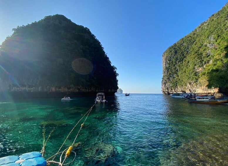 Picture 5 for Activity From Krabi: Phi Phi Island Full-Day Private Speed Boat Tour