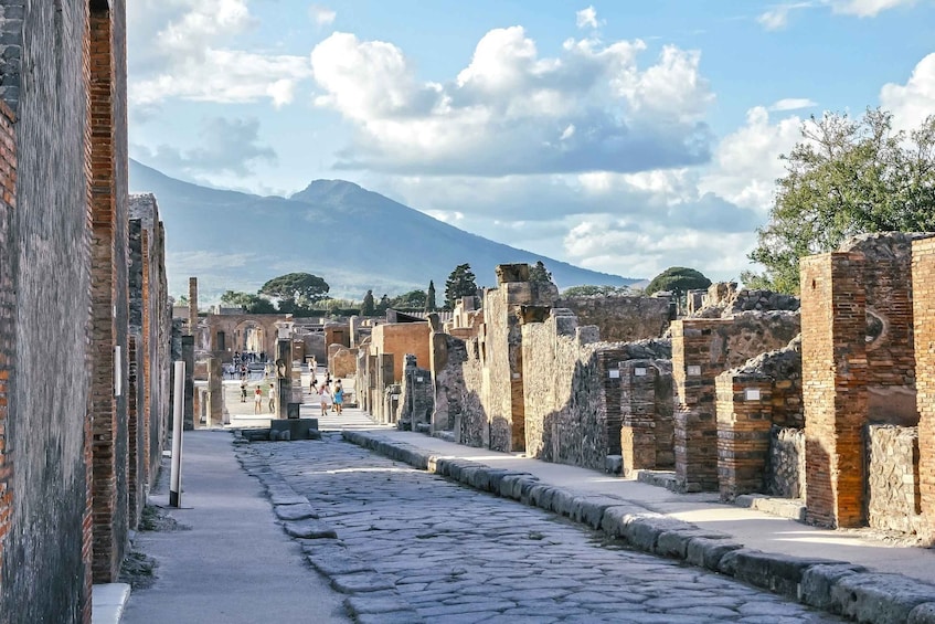 Picture 2 for Activity Pompeii: Ruins and Vesuvius Full-Day Guided Combo Tour