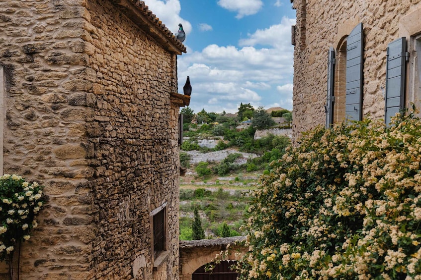 Picture 3 for Activity From Avignon: Best of Luberon in an Afternoon