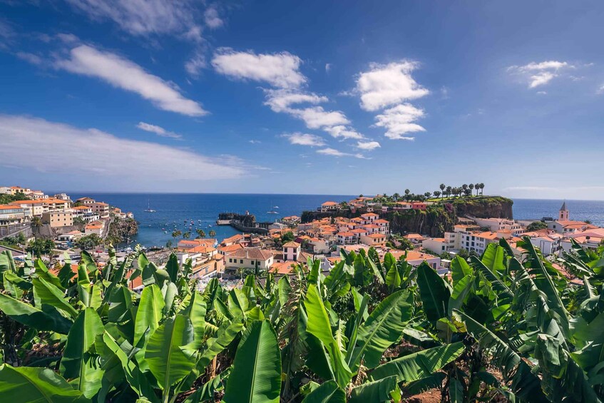 Picture 2 for Activity Funchal: Private Tuk-Tuk Tour to Cabo Girão Cliff - Skywalk