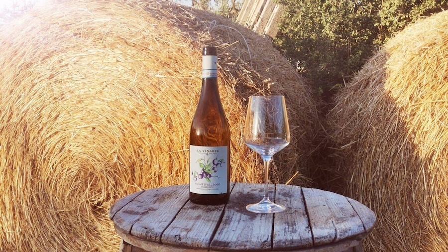 Santa Maria Imbaro: La Vinarte Wine tour