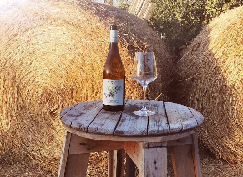 Santa Maria Imbaro: La Vinarte Wine tour