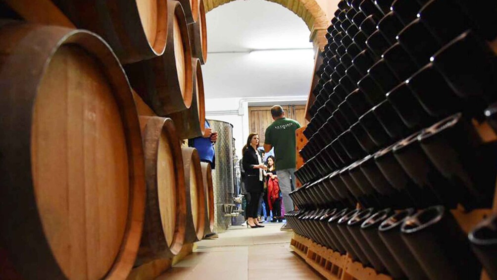 Picture 1 for Activity Santa Maria Imbaro: La Vinarte Wine tour