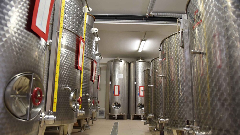 Picture 4 for Activity Santa Maria Imbaro: La Vinarte Wine tour