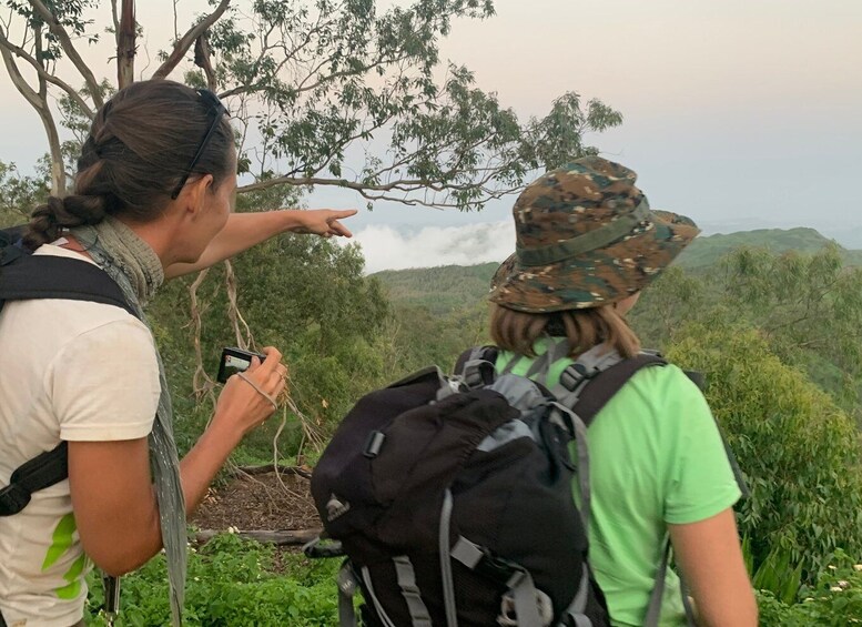 Picture 3 for Activity From Ponta Do Sol: Full-Day Nature Hike with A Guide