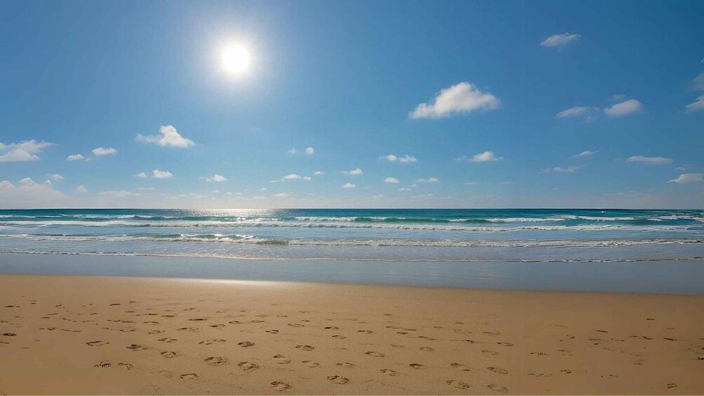 Picture 9 for Activity ✅From A Coruna: Guided Day Trip to Lugo & As Catedrais Beach