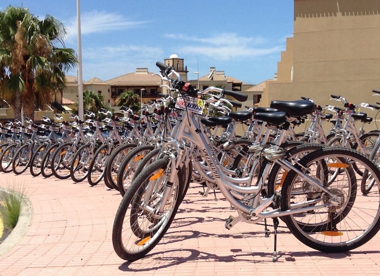 South Tenerife: Bike Rental with Hotel Delivery