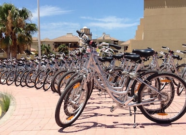 Sør-Tenerife: Sykkelutleie med hotelllevering