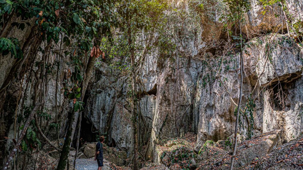 Picture 4 for Activity Capricorn Caves, Australia: 45-Minute Cathedral Cave Tour