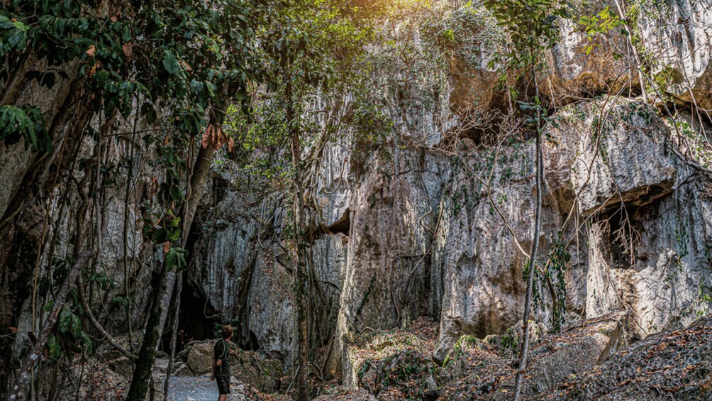 Picture 4 for Activity Capricorn Caves, Australia: 45-Minute Cathedral Cave Tour