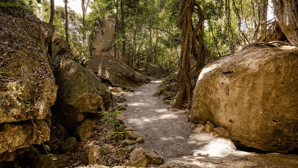 Picture 1 for Activity Capricorn Caves, Australia: 45-Minute Cathedral Cave Tour