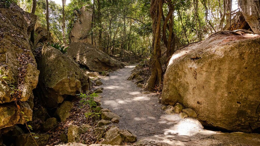 Picture 1 for Activity Capricorn Caves, Australia: 45-Minute Cathedral Cave Tour