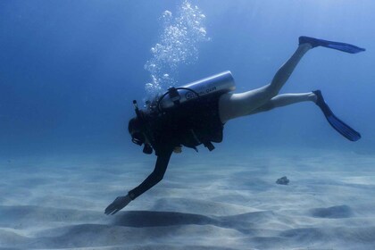 Puerto Vallarta: Diving Lesson and Session for Beginners