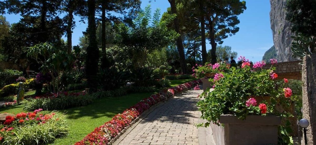 Picture 6 for Activity From Capri: Capri Walking Tour