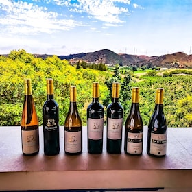 From Lagos: Small-Group 4-Hour Wine Tasting Tour