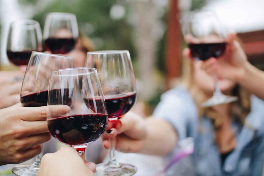 Picture 5 for Activity From Lagos: Small-Group 4-Hour Wine Tasting Tour