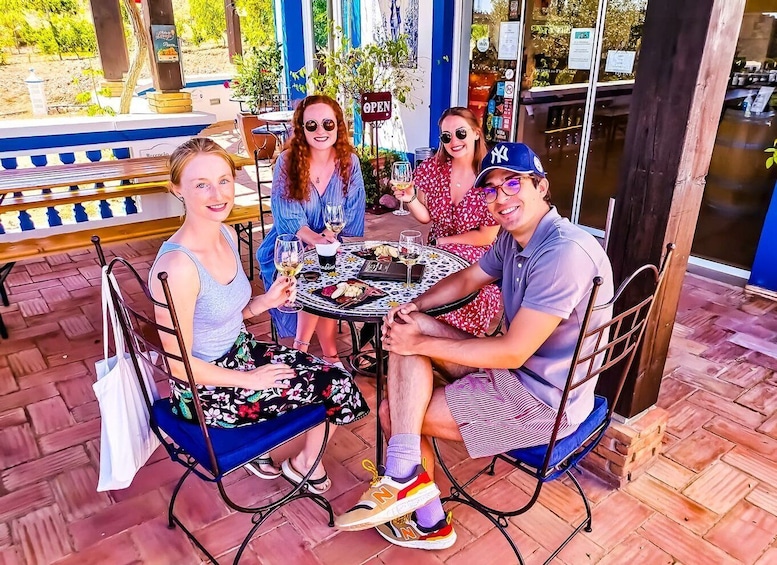 Picture 4 for Activity From Lagos: Small-Group 4-Hour Wine Tasting Tour
